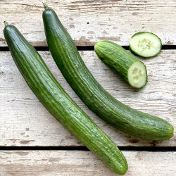 Agurker DK NYE uden film