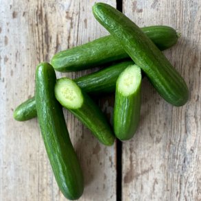 Agurker skole 30 stk. DK