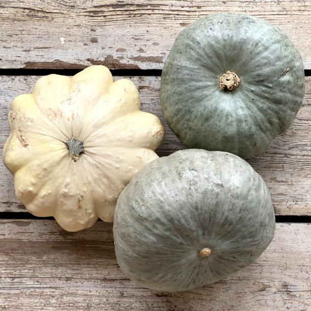 Grskar PYNTE 25 stk. DK / dags pris