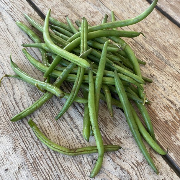 Bobby Bnner 5 kg. Maroc