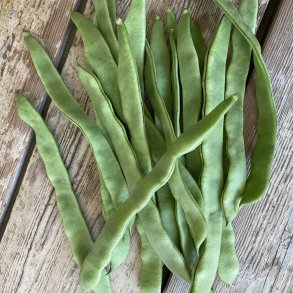 Snitbnner 4 kg Maroc