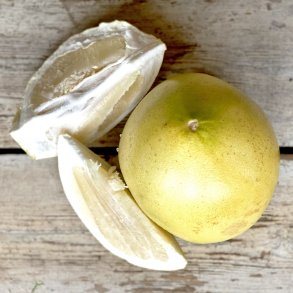 Pomelo 12 stk CN 1.kl