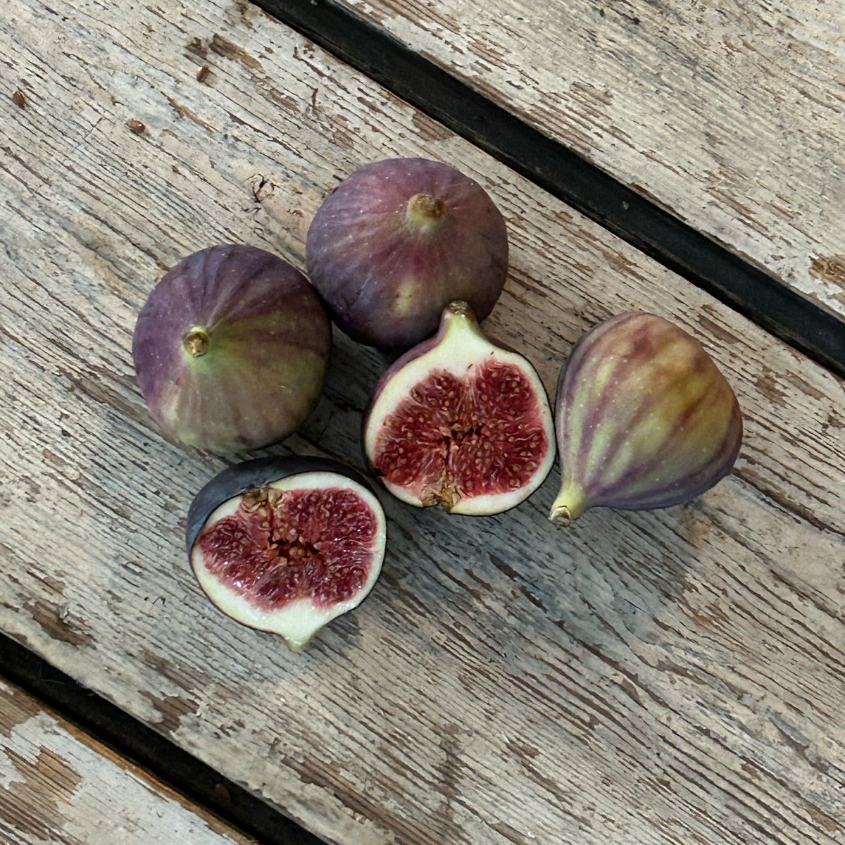 Figner 20 stk Frugt Rosengaard