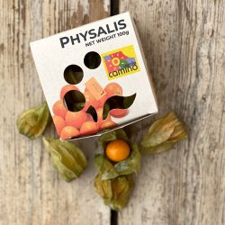 Physalis 12 bk. Col.