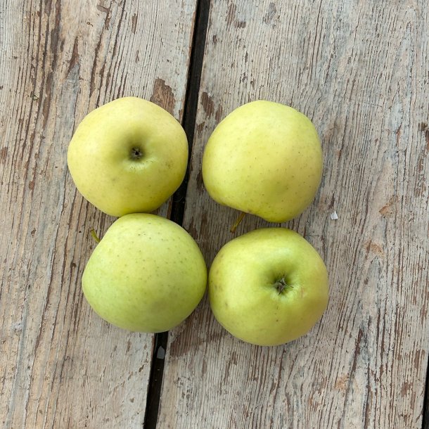 bler Golden Del. Ita.1.kl