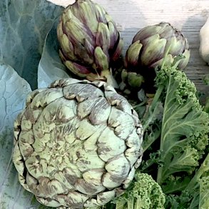 Artiskokker 18-24 stk /dags pris 