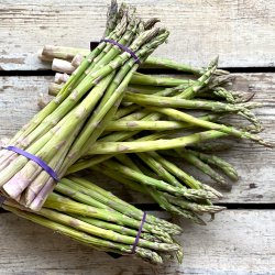Asparges Gr�nne 11x450 gr. Mexico dagspris