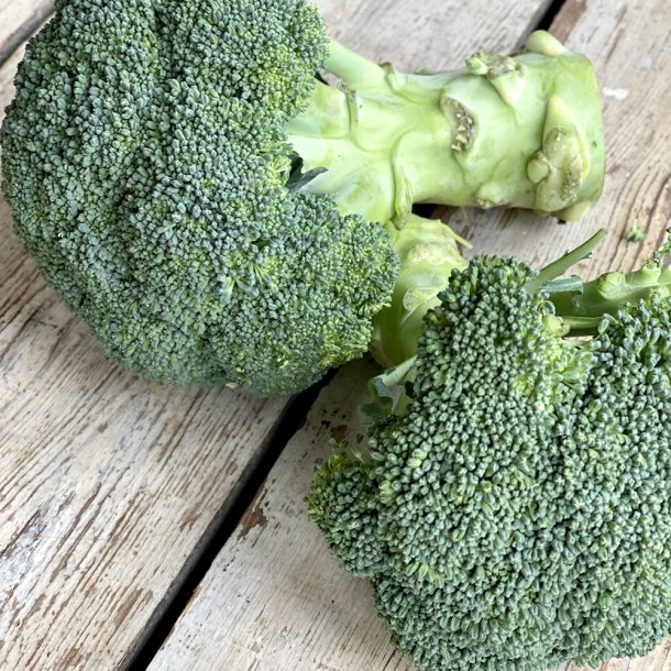 Broccoli bdt dansk