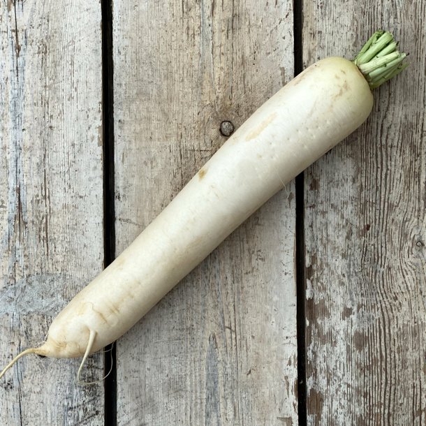 Kinaradiser 15 stk. Tysk