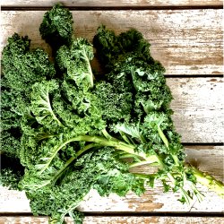 Gr�nk�l 6x300 gr DK �KO