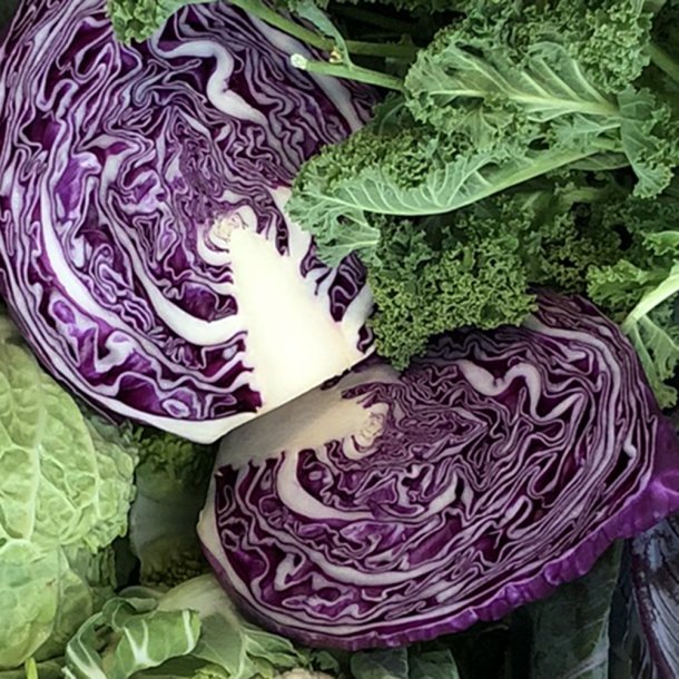 Rdkl 8 stk DK / Holl