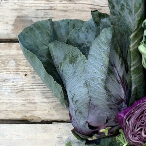 Spidskl rd 8 stk DK.