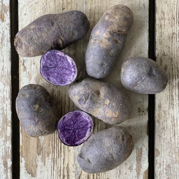 Kartofler Bl� 5 kg Holl