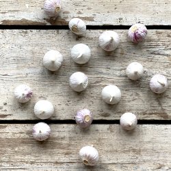 Hvidlg solo 250 gr. Kina