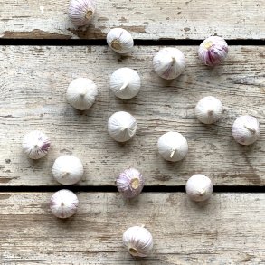 Hvidlg solo 8 x 250 gr. Kina