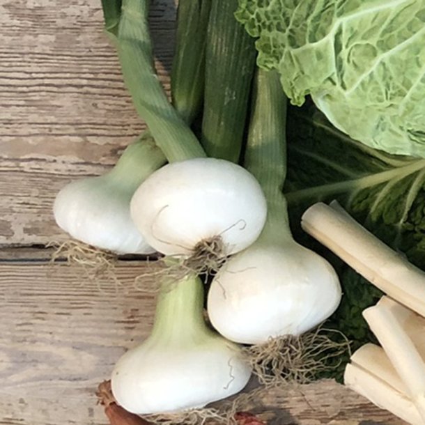 Lg NYE m/top 10 bdt DK. 