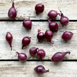 Perlelg RDE 5 kg. Holl.