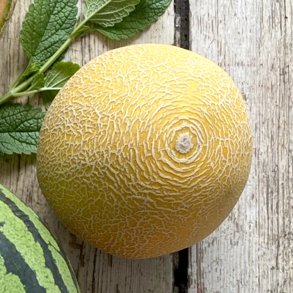 Meloner Galia 6 stk CR