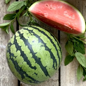 Vandmeloner 6 stk CR