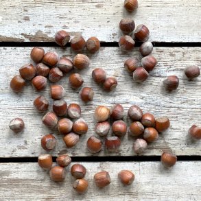 Hasselndder 5 kg. Fr.