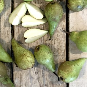 Prer Conference 72 stk Holl.