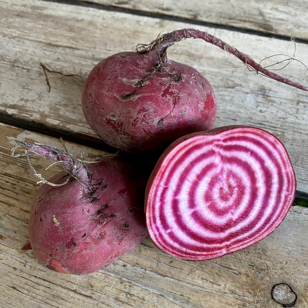 Bolsjebeder 