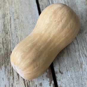 Butternut Squash PT