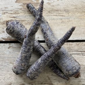 Gulerod LILLA 5 kg. Holl.