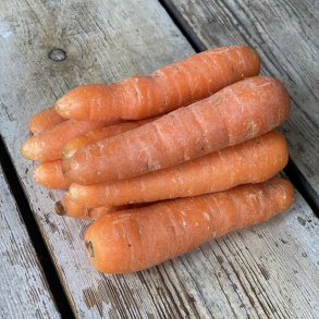 Gulerod store 10 kg UDL