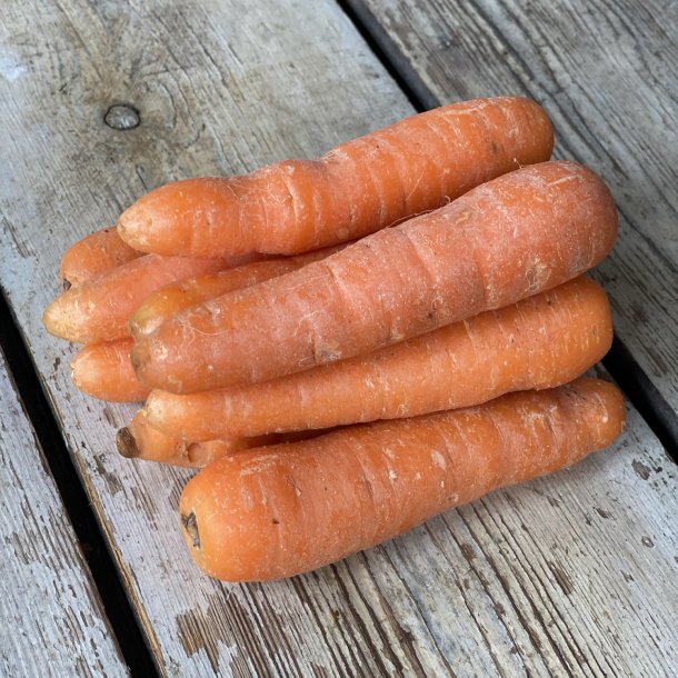 Gulerod store 10 kg UDL