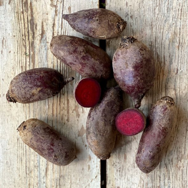 Rdbede  DANSKE NYHST 