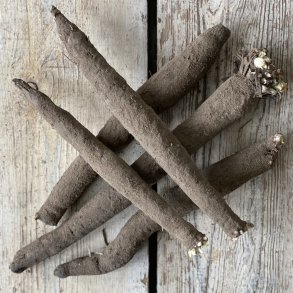 Skorzonerrdder Holl. 5 kg. 