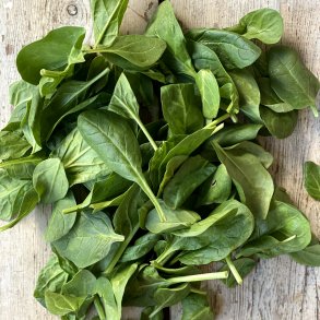 Spinat baby 1x500 gr. DK VASKET