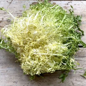 Friseesalat gul 10 stk sp