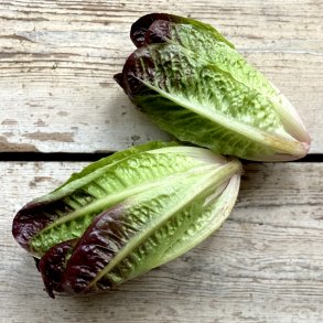 Hjertesalat R�d 8 x 2 stk. Sp.