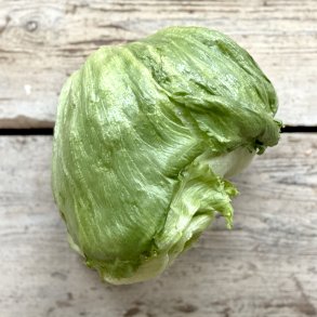 Iceberg Salat 10 stk �KO 