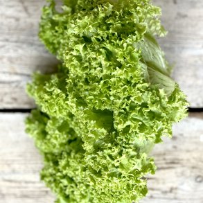 Kr�lsalat 8 stk. Udl