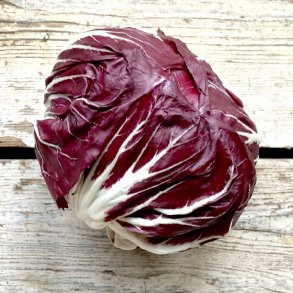 R�dsalat 7-9  stk. Ital. 