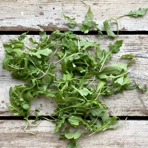 Rucola 2x500 gr. DK VASKET