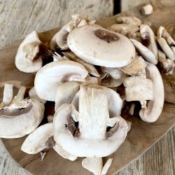 Champignon SKIVER 5mm/bestil fr 13.00/dags pris