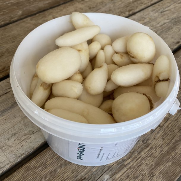 Jordskokker RASPEDE / bestil fr 13.00 / dags pris