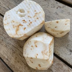 Knoldselleri HELE SKR / bestil fr 13.00