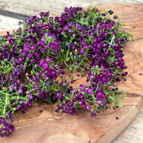 Spiseblomst biblomme LILLA