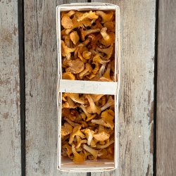 Kantareller MINI ca. 1 kg. Ukr. / dagspris