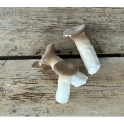 Kejserhatte 1 kg Korea