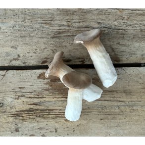 Kejserhatte 1 kg Korea