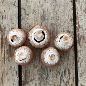 Markchampignon rens 2,5 kg. Lit.