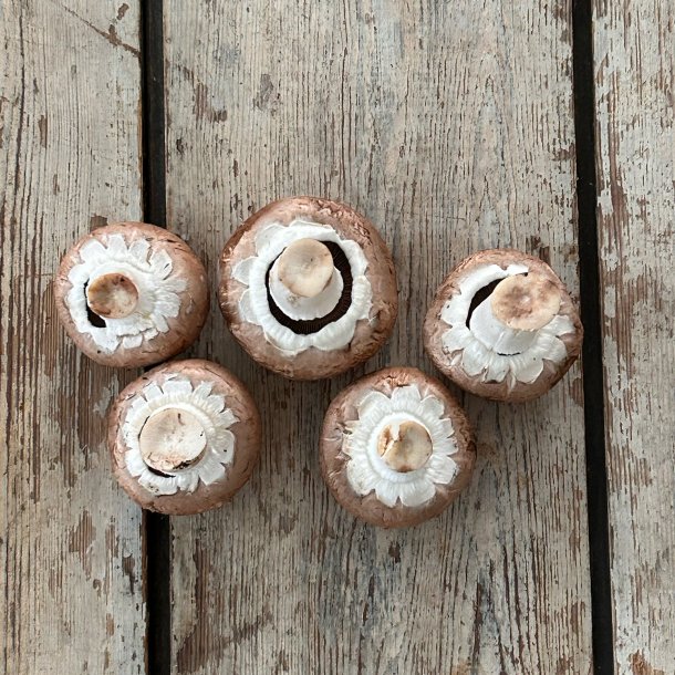 Markchampignon rens 2,5 kg. Lit.