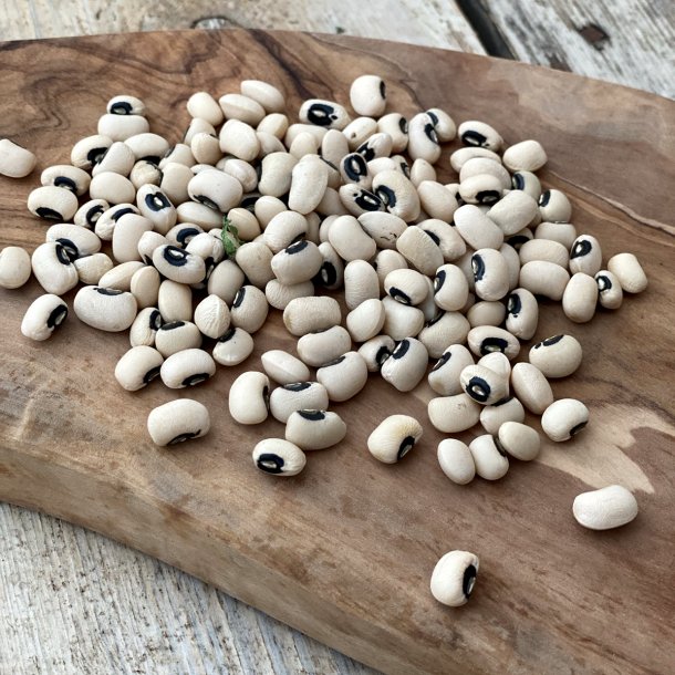 Bnner BLACK EYE trret 3000 gr.