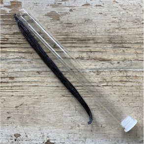 Vanille stang Bourbon 16/17 cm. 